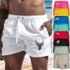 Men's Swim Trunks Swim Shorts Board Shorts Bathing
